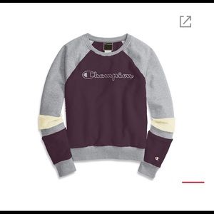 Champion Purple and Gray Sweatshirt